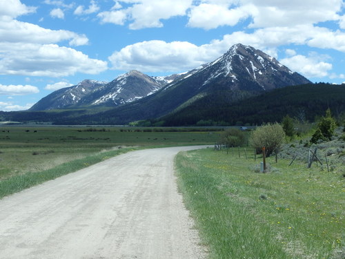 GDMBR: Most of the treed portion of this view is in the Beaverhead Deerlodge National Forest.